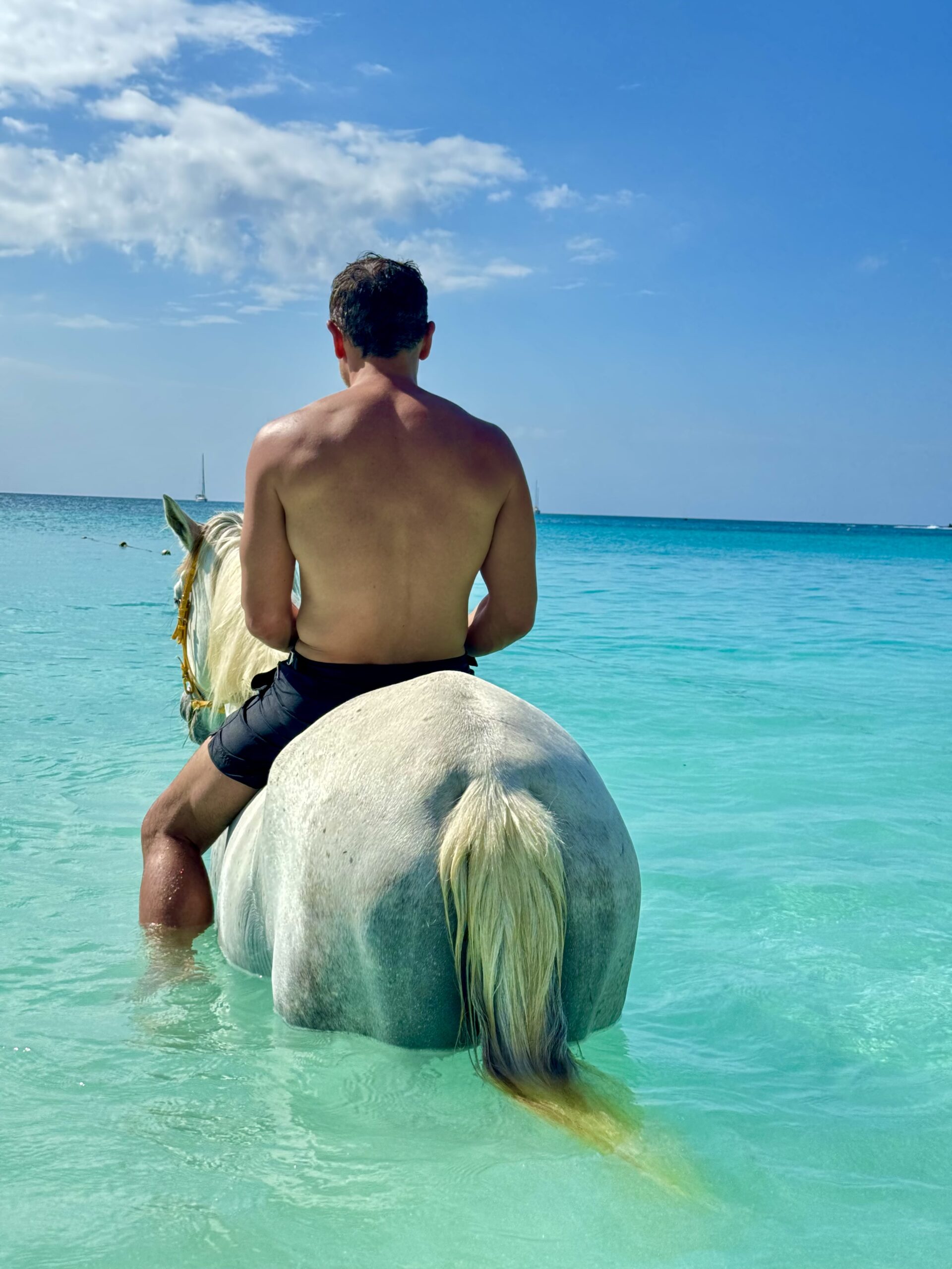 On horseback