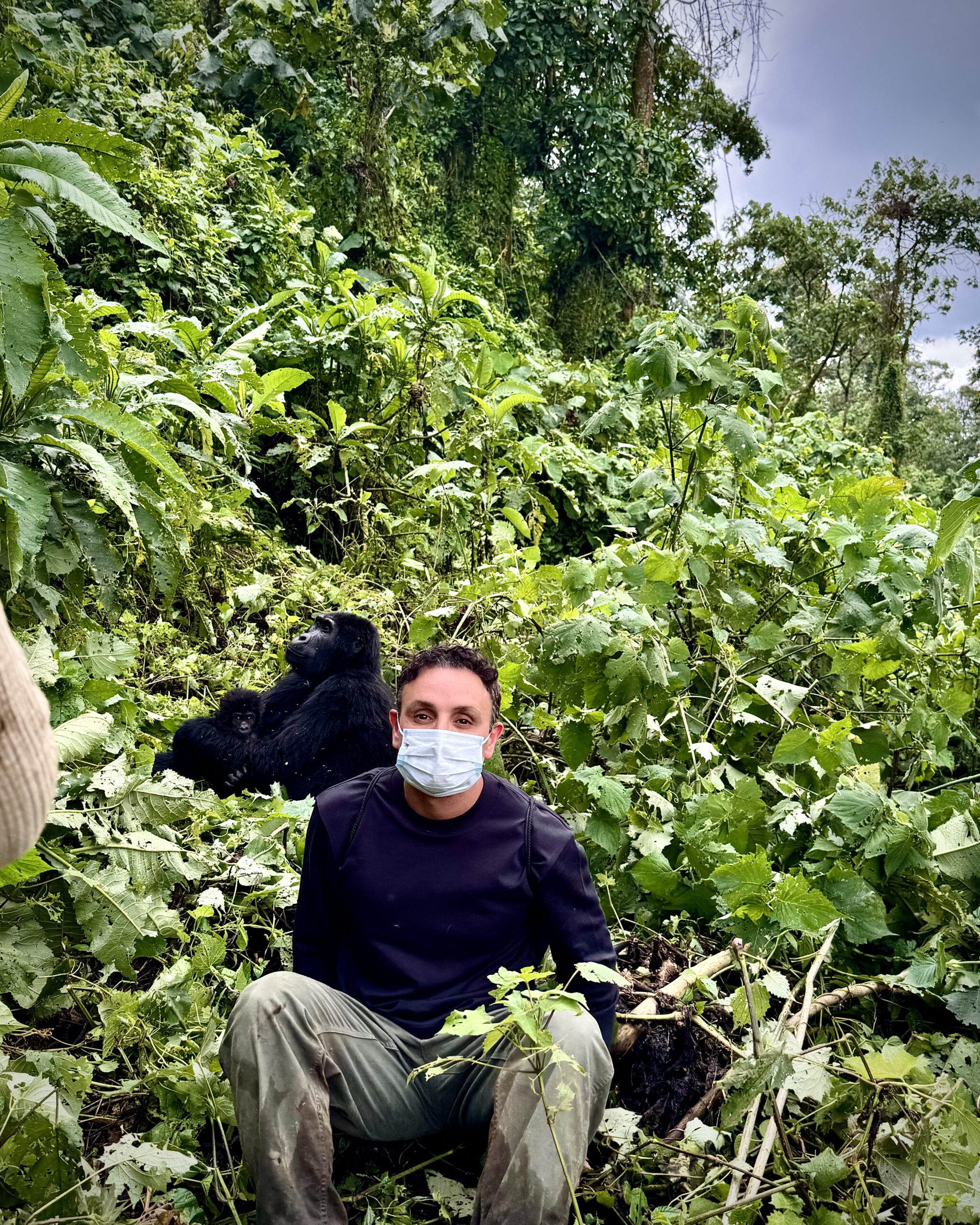Gorilla trek